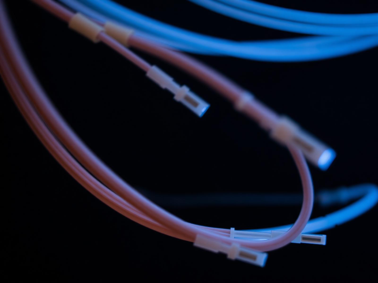 Macro view of fiber optic strands